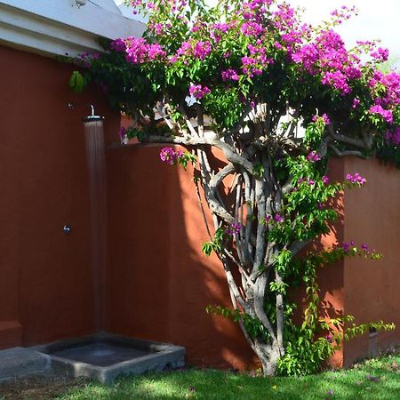 The Peaches Bungalows 45 & 46 Maspalomas  Exteriér fotografie