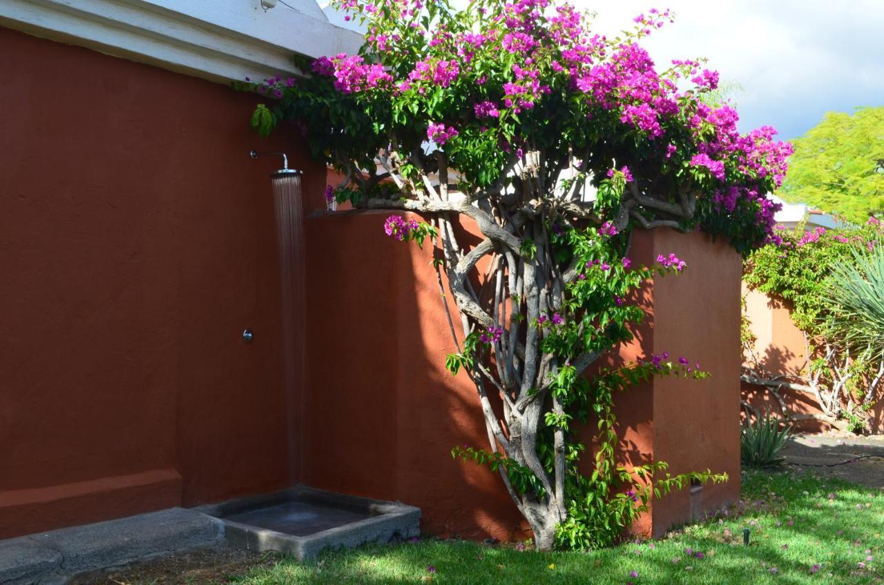 The Peaches Bungalows 45 & 46 Maspalomas  Exteriér fotografie